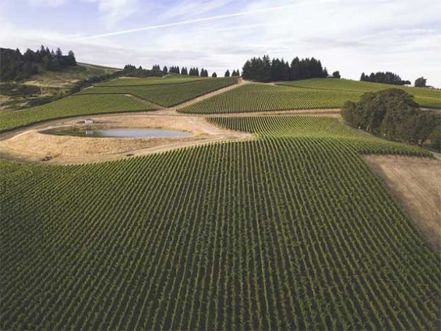 Vol en hélicoptère à Beaune, Bourgogne – Image 4