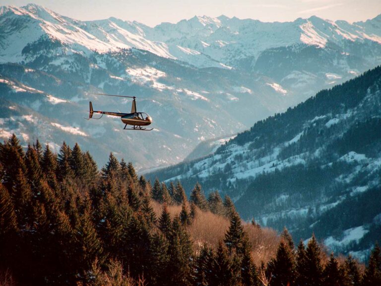 Accident de R44 dans les Alpes : la sécurité face aux câbles invisibles